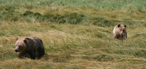 10116274686 0c25110387 o