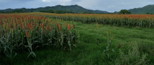 10116760476 151374925c o