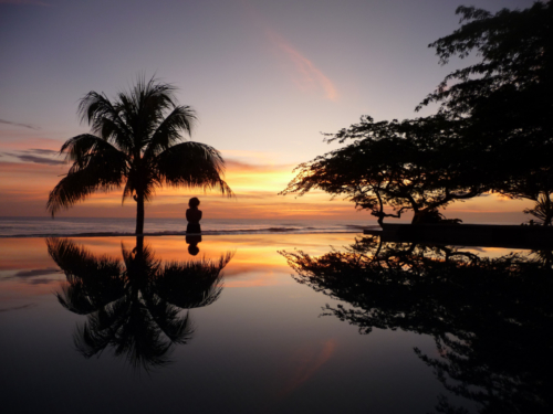 10117129123 7c8cda7748 o