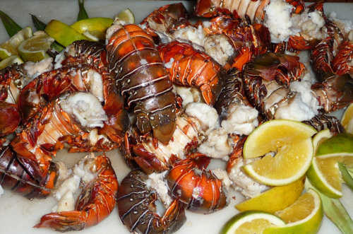 nicaraguanlobsterfest